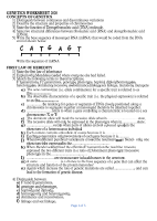Genetics Worksheet 2020.pdf